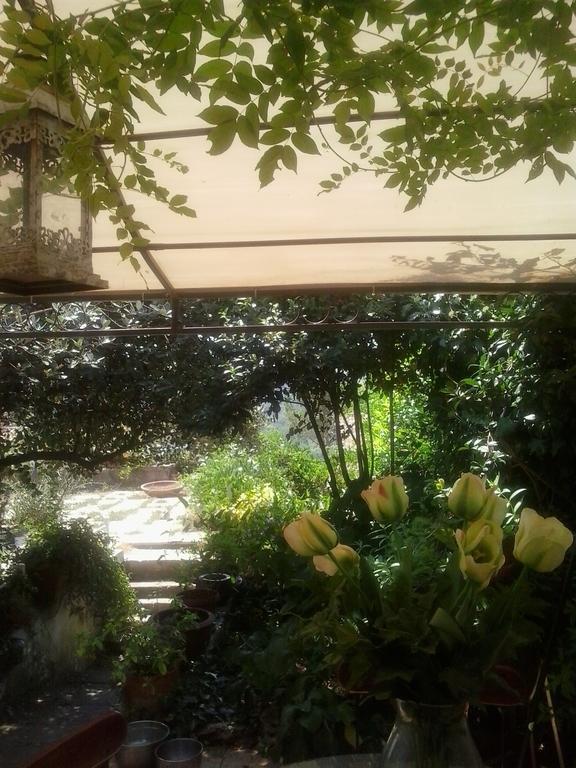 Апартаменти Il Cenacolo Di Sissi Кампаньяно-ді-Рома Екстер'єр фото